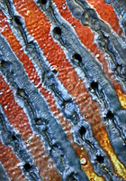 IMG_4928_Ceramic_Leftovers