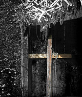 IMG_4605_Shed_with_Antlers