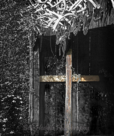 IMG_4605_Shed_with_Antlers