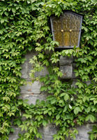 _MG_5038_Meersburg