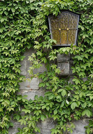 _MG_5038_Meersburg
