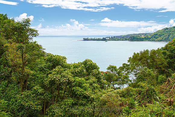 bay pano