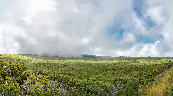 meadow_Panorama3 sky changes