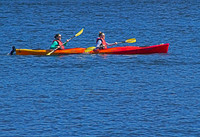 _MG_4644_Kayakers_Lake_Union