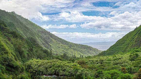 006_Untitled_Panorama5 stretch2 greener