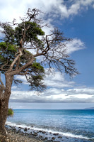_MG_5146_7_8_tonemapped proc2