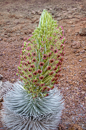 _MG_5578_79_80_tonemapped proc2