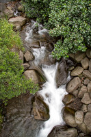 _MG_4914 proc2