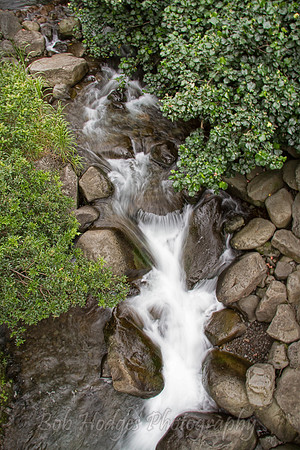 _MG_4914 proc2