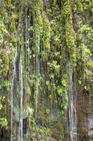 _MG_5305 single exp proc4 sm for zf