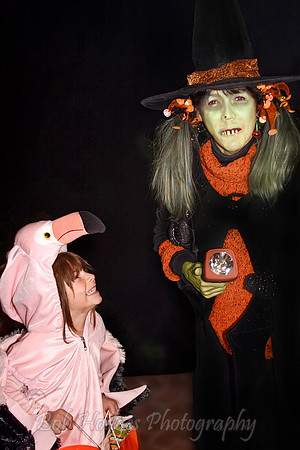 IMG_4736_Trick_or_Treat proc2