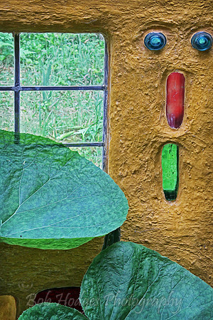 IMG_1335_Sunroom_and_Flora