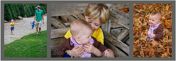 005_triptych family