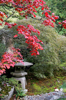 IMG_3351_Japanese_ gardens