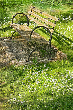 IMG_0557_Park_Bench-Arboretum proc2