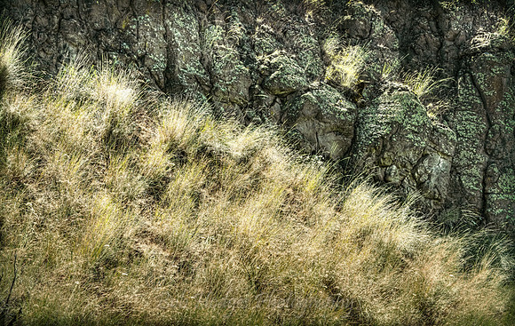 _MG_9017_8_9_proc 5 topaz rys etc tonemapped