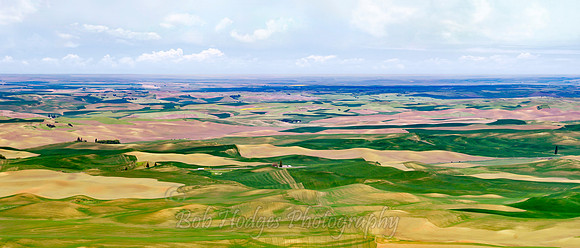 003_Steptoe_Panorama1 proc wide crop