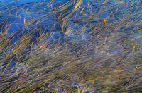 _MG_0622_3_4_tonemapped proc 2