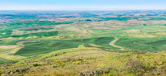Untitled_Panorama1-proc3 rys final