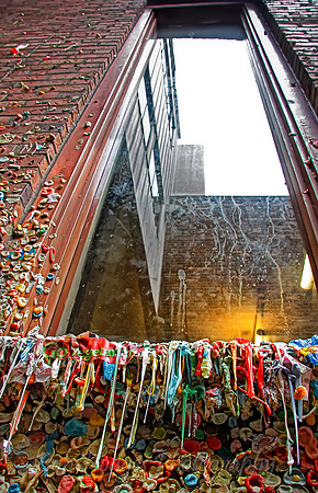 _MG_5604_Gum_Wall_4