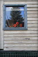 IMG_9332_Window_Reflection