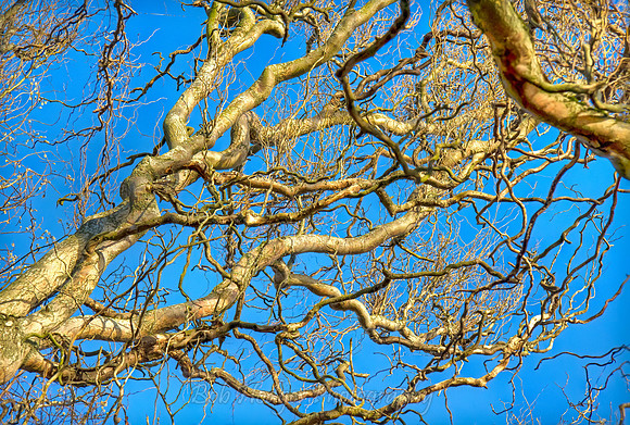 2337, 8,9,0,1,2,__1__2__3__4__5_tonemapped proc