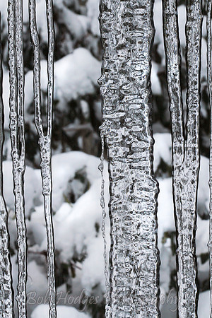 _MG_6128_Icicles_1