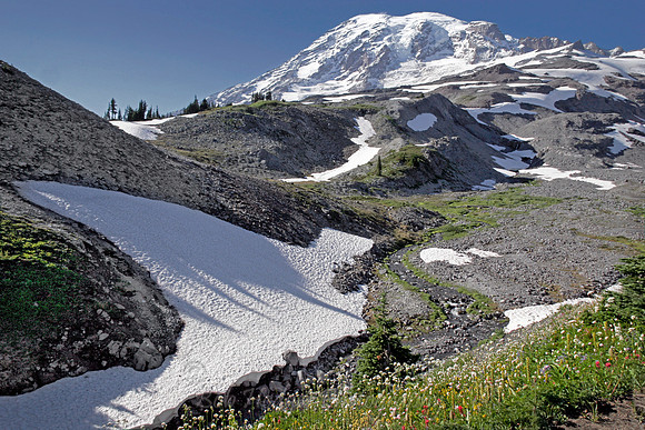 _MG_6792-Mt_Rainier_from_Trail_High-Point