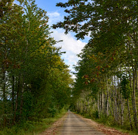 path_Pano1 proc3 luc