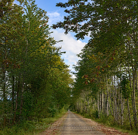 path_Pano1 proc3 luc