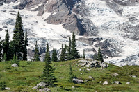 IMG_4172_Base_of_Mt_Rainier