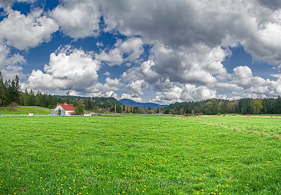 008 Untitled_Panorama1 proc 4