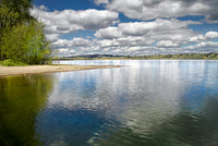 sammamish1 proc4