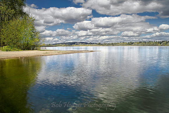 sammamish1 proc4