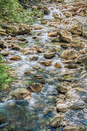_MG_4470_1_2 - brook 32 to 8 bit proc