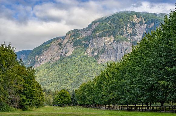 View_of Mt_Si