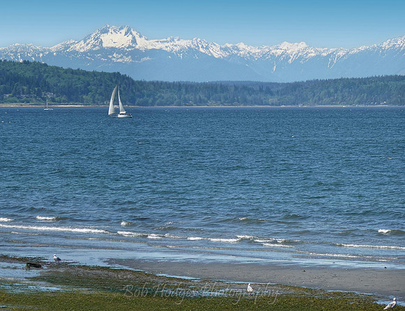 Alki_Beach