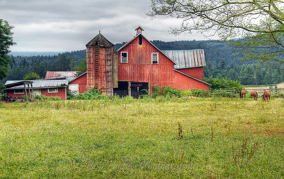 Aging_Barn,_Northbend