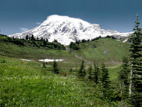 Mt_Rainier_