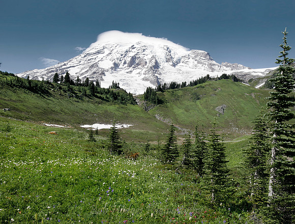 Mt_Rainier_
