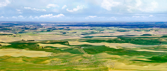 Steptoe_Panorama1 proc wide crop