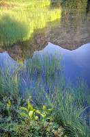 _MG_0610_1_2_tonemapped proc