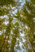 _MG_6827-HDR