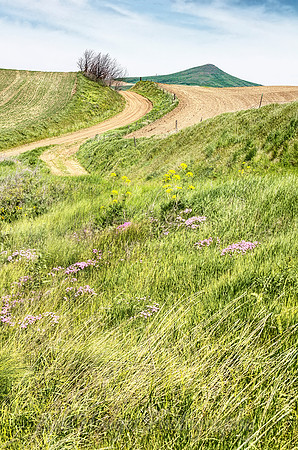 _MG_9582_3_4_tonemapped proc2