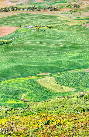 _MG_9254_5_6_tonemapped proc5 TD- rys, GF, etc