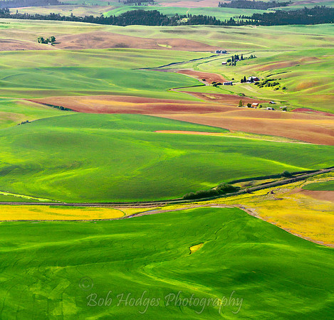 _MG_9187 color alteration 4 potrtr, GF sharp