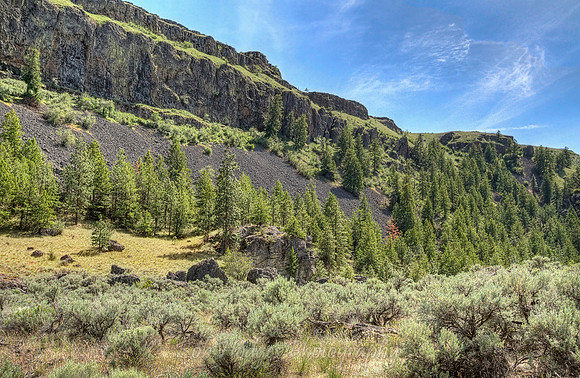 _MG_0002_3_4_tonemapped proc, rys, etc