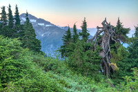 _MG_0510_1_2_tonemapped proc2