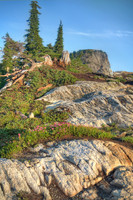 _MG_0577_8_9_tonemapped proc