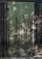 IMG_4755_Door_with_Dappled Sun